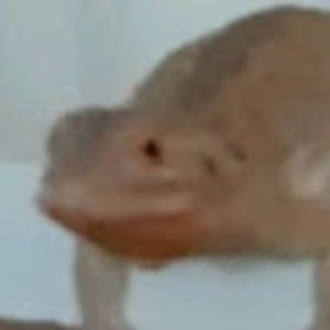 Meet your Posher, Tori